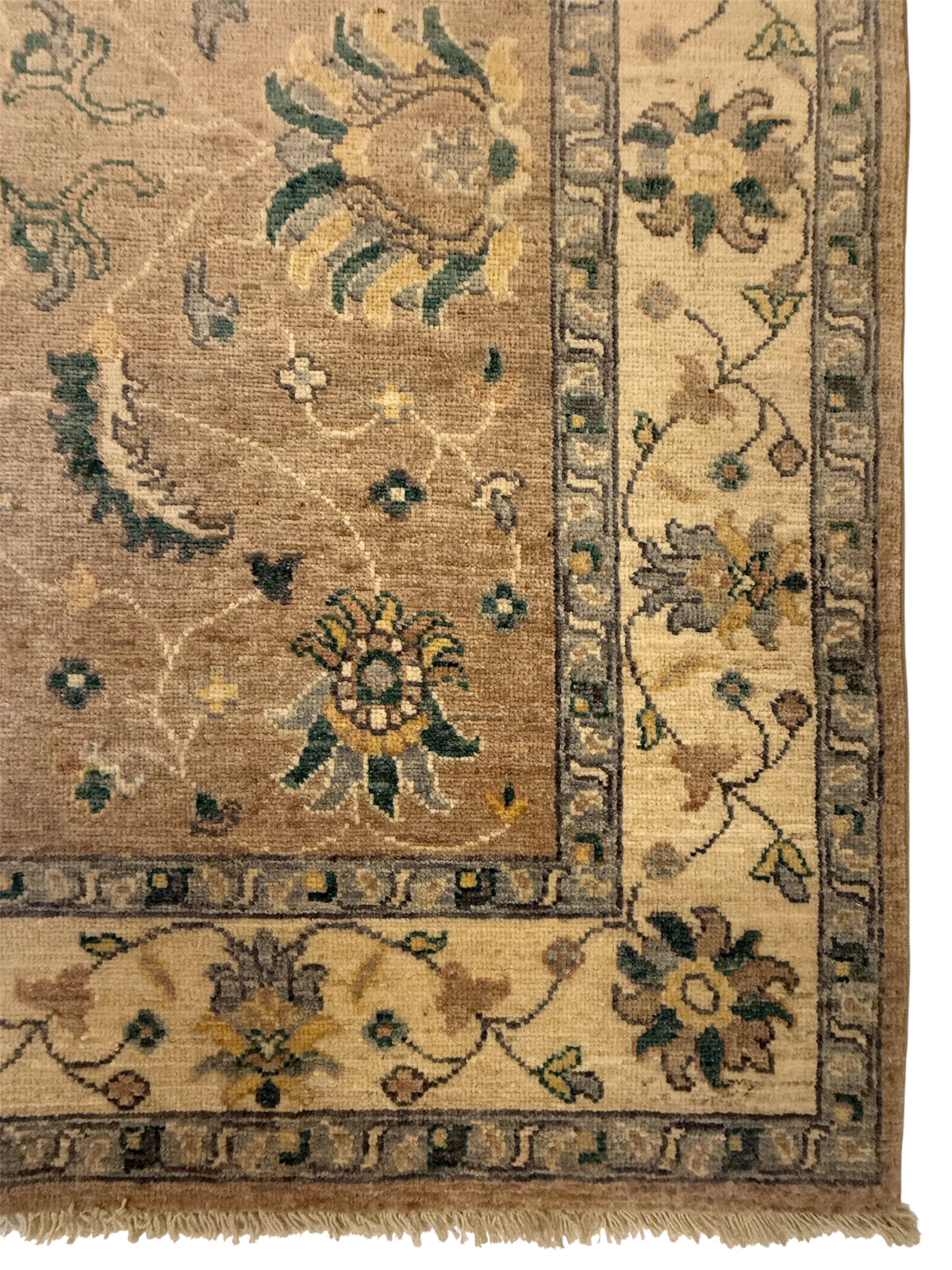 Afghaans Handgeknoopt Ziegler 152 X 157 CM